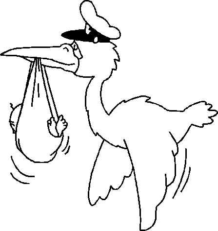 storch.wmf (48310 Byte)